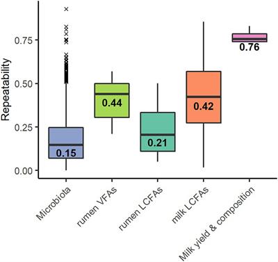 Variation in Rumen Bacteria of Lacaune Dairy Ewes From One Week to the Next